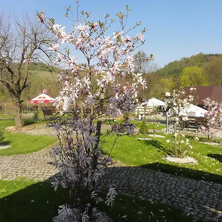 Bed & Breakfast Nad Sztolnia 2*