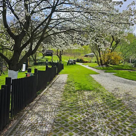 Nad Sztolnia 2* Bystrzyca Górna